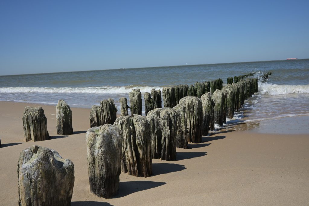 small weathered wooden beams leading into the sea